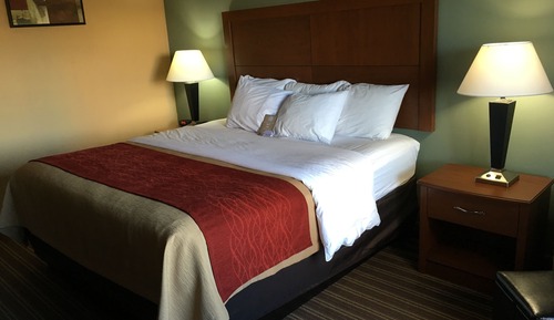 Room, 1 King Bed, Non Smoking