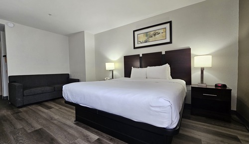 Suite, 1 King Bed with Sofa bed, Non Smoking