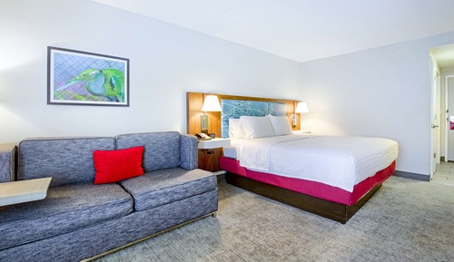 Room, 1 King Bed, Accessible, Non Smoking