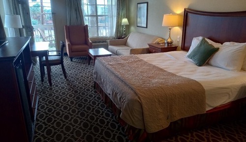 Executive Suite, 1 King Bed