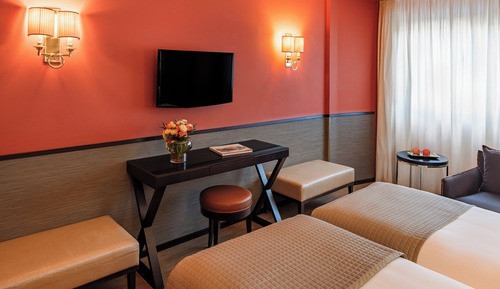 Deluxe Double or Twin Room