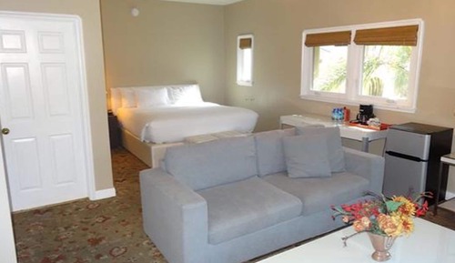 Suite, 1 King Bed with Sofa bed, Courtyard Area