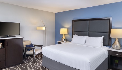 Room, 1 King Bed, Accessible (CLASSIC ADA KING)