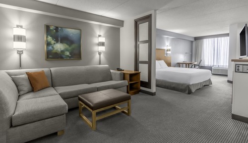 Room, 1 King Bed, Accessible, Bathtub