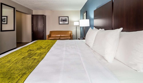 Suite, 1 King Bed, Non Smoking, Refrigerator & Microwave (with Single Sofabed)