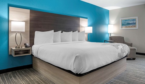 Standard Room, 1 King Bed, Accessible, Refrigerator & Microwave