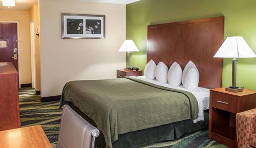 Business Room, 1 King Bed, Non Smoking