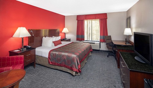 Room, 1 King Bed, Non Smoking