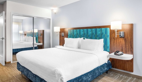 Suite, 1 King Bed, Accessible, Bathtub (Mobility & Hearing)