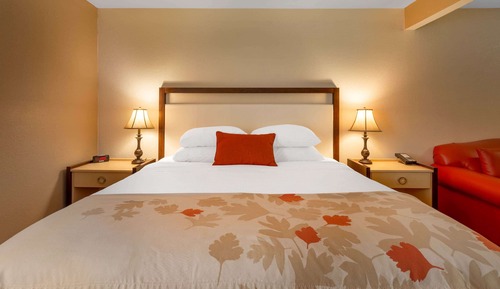 Suite, 1 Queen Bed