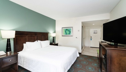 Room, 1 King Bed, Accessible, Non Smoking