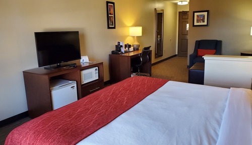 Standard Room, 1 King Bed, Sofa, Non Smoking