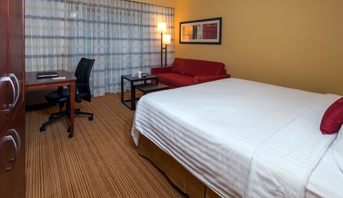 Room, 1 King Bed with Sofa bed (Mobility/Hearing Access, Roll-In Shwr)