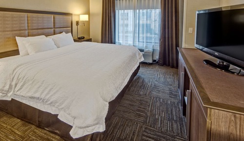 Room, 1 King Bed with Sofa bed, Non Smoking, Refrigerator & Microwave