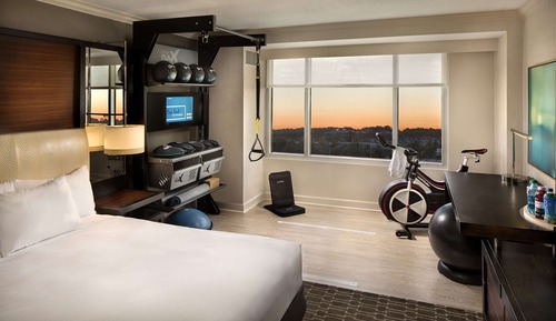 Room, 1 King Bed