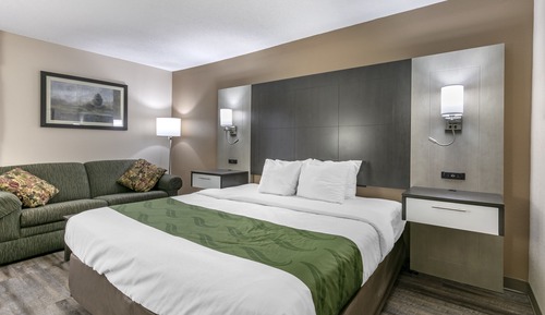 Standard Room, 1 King Bed, Non Smoking