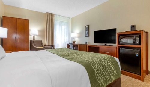 Room, 1 King Bed, Accessible, Non Smoking