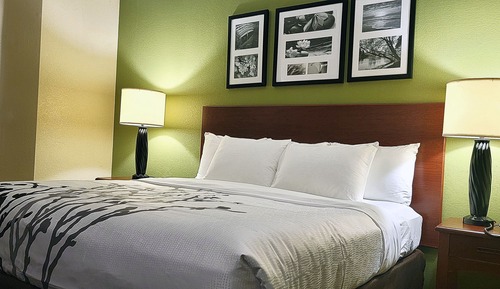 Standard Room, 1 King Bed, Non Smoking