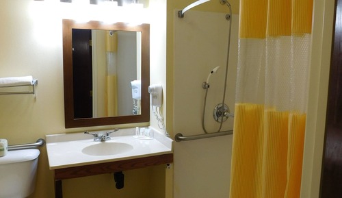 Room, 1 King Bed, Accessible, Non Smoking