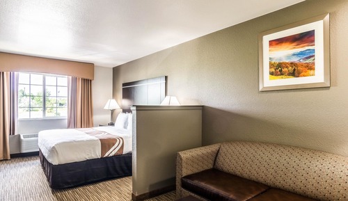 Room, 1 King Bed with Sofa bed, Accessible, Non Smoking