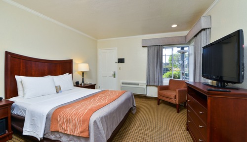 Room, 1 Queen Bed, Non Smoking