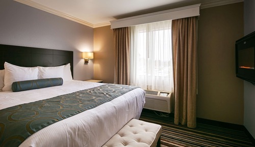 Suite, 1 King Bed with Sofa bed, Non Smoking, Refrigerator & Microwave (with Sofabed)