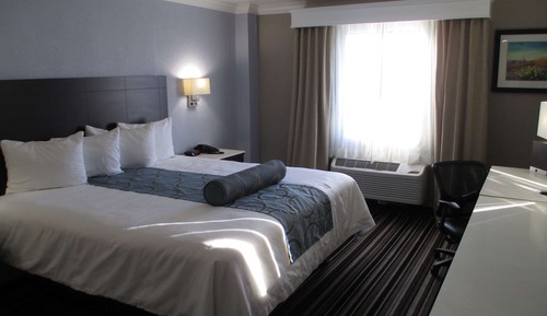 Standard Room, 1 King Bed, Non Smoking, Refrigerator & Microwave