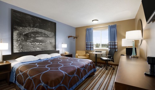 Room, 1 King Bed, Non Smoking