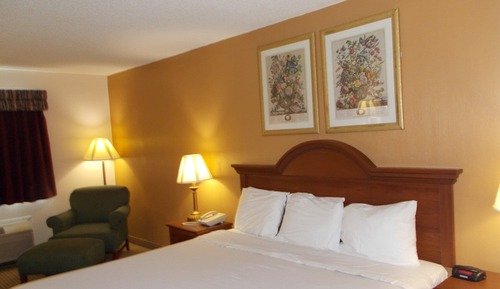 Room, 1 King Bed, Non Smoking, Refrigerator & Microwave