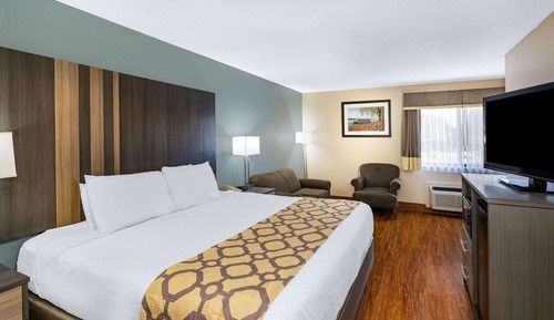 Room, 1 King Bed, Non Smoking (Pet Friendly)