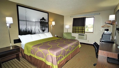 Room, 1 King Bed, Microwave