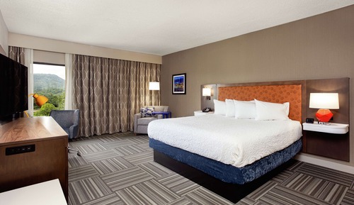 Room, 1 King Bed, Non Smoking