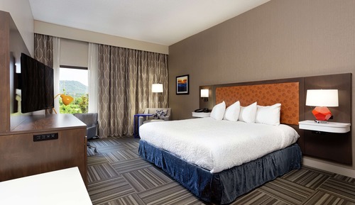 Room, 1 King Bed, Accessible (Mobility & Hearing, Roll-in Shower)
