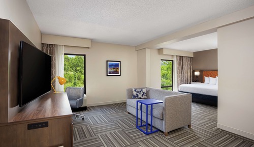 Studio Suite, 1 King Bed with Sofa bed (Microwave)
