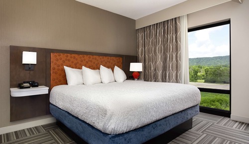 Suite, 1 Bedroom, Non Smoking