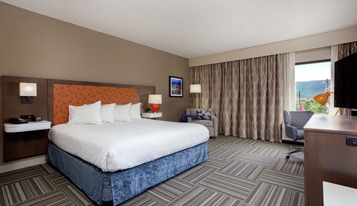 Room, 1 King Bed, Accessible, Bathtub (Mobility & Hearing)