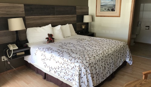 Standard Single Room, 1 King Bed, Accessible, Refrigerator & Microwave