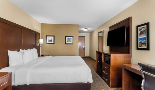 Room, 1 King Bed, Accessible, Non Smoking
