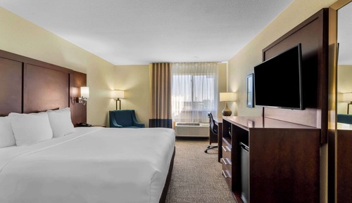 Standard Room, 1 King Bed, Non Smoking