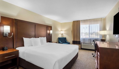Room, 1 King Bed, Non Smoking (No Pets Allowed)
