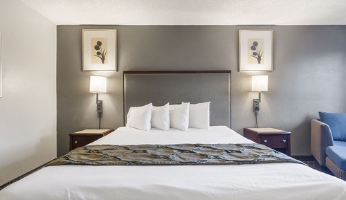 Room, 1 King Bed, Non Smoking