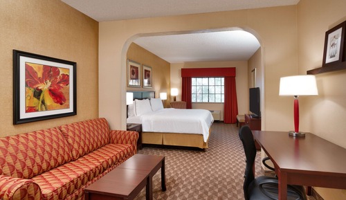 Suite, 1 King Bed, Non Smoking (with Sofabed)