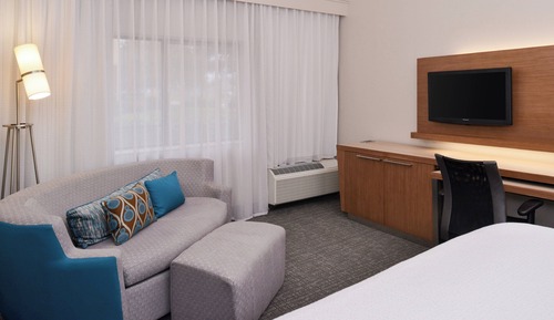 Room, 1 King Bed with Sofa bed