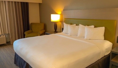 Room, 1 King Bed, Non Smoking