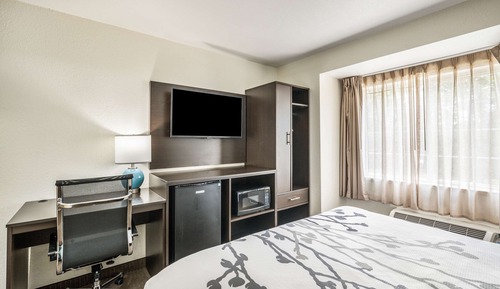 Room, 1 Queen Bed, Non Smoking