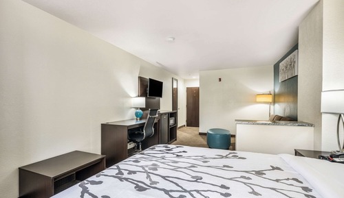 Suite, 1 Queen Bed, Non Smoking