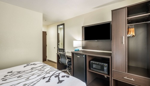Standard Room, 1 Queen Bed, Non Smoking