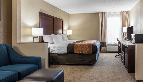 Standard Room, 1 King Bed with Sofa bed, Non Smoking