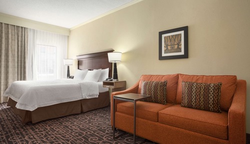 Standard Room, 1 King Bed, Jetted Tub