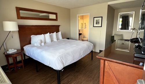 Room, 1 King Bed, Non Smoking